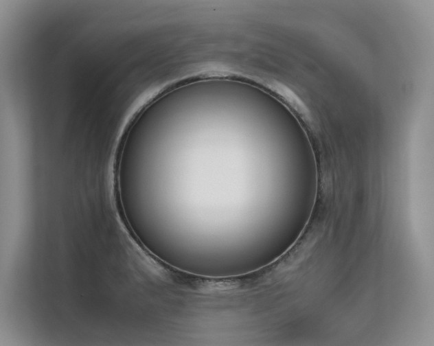 X0000111631183200907171520