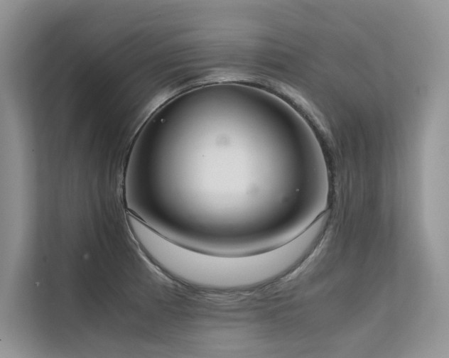 X0000111631185200907171520