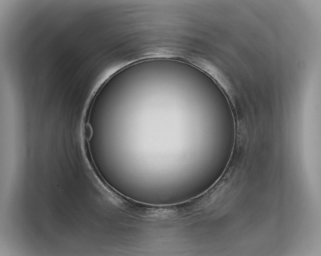 X0000111631187200907171520