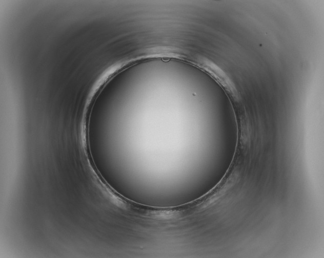 X0000111631188200907171520