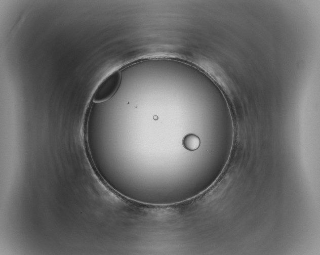 X0000111631189200907171520