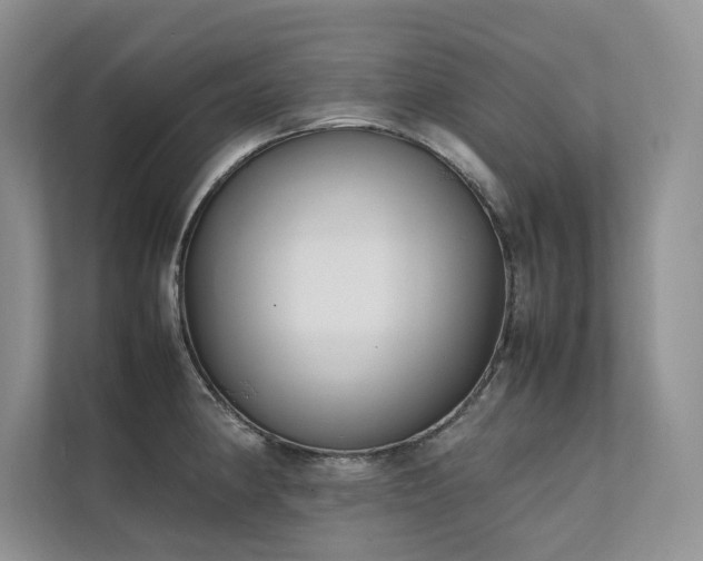 X0000111631190200907171520