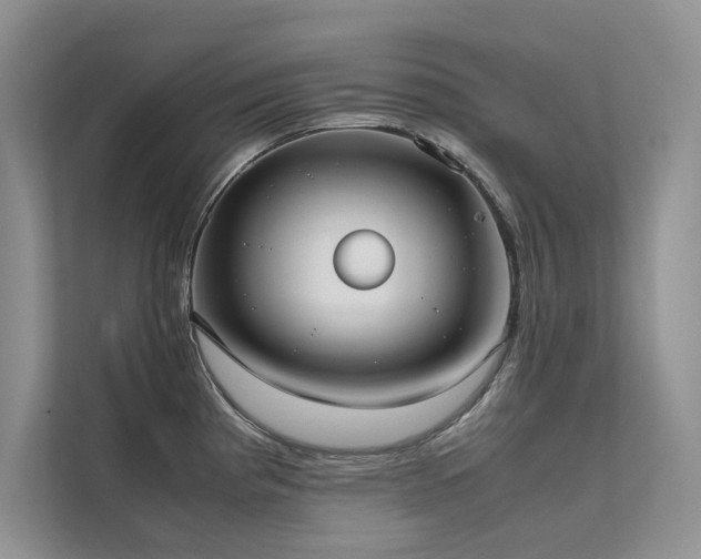 X0000111631193200907171520