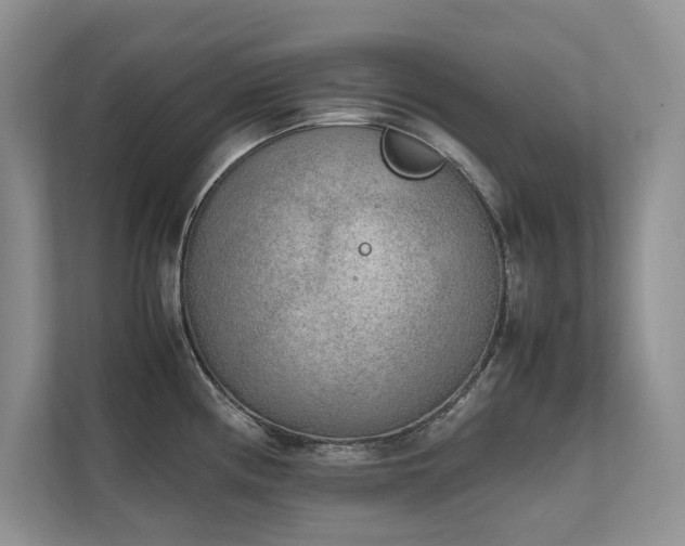 X0000111631194200907171520