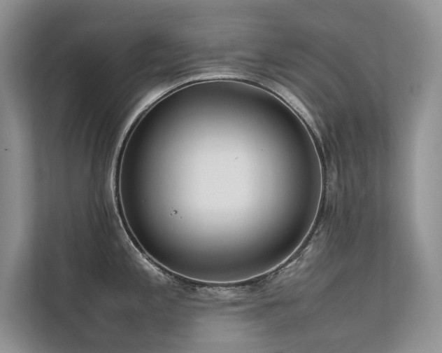 X0000111631197200907171520
