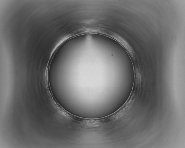 X0000111631198200907171520