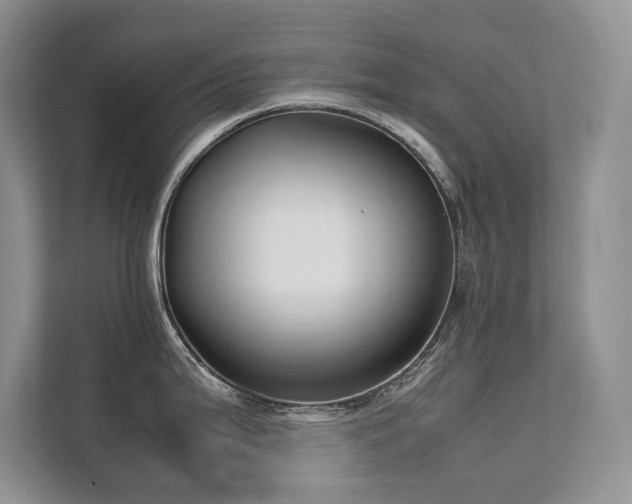 X0000111631199200907171520