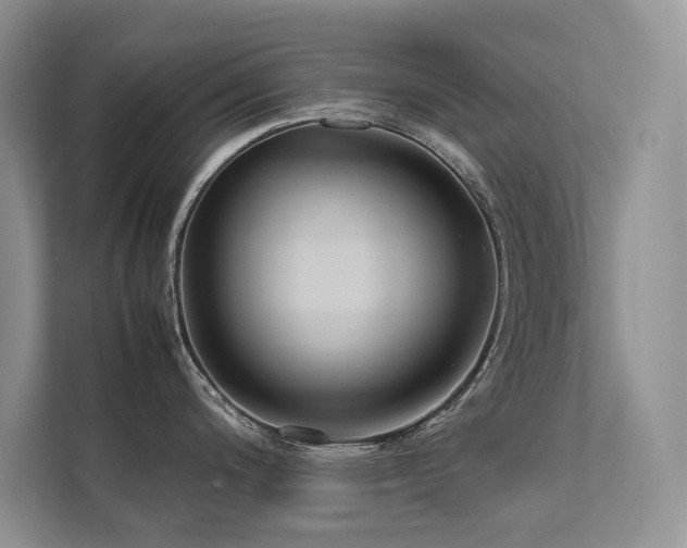 X0000111631200200907171520