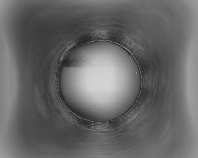 X0000111631201200907171520