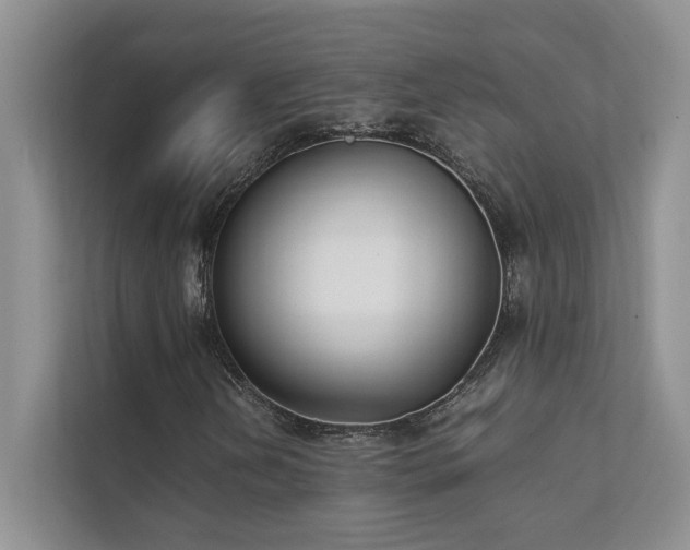 X0000111631202200907171520