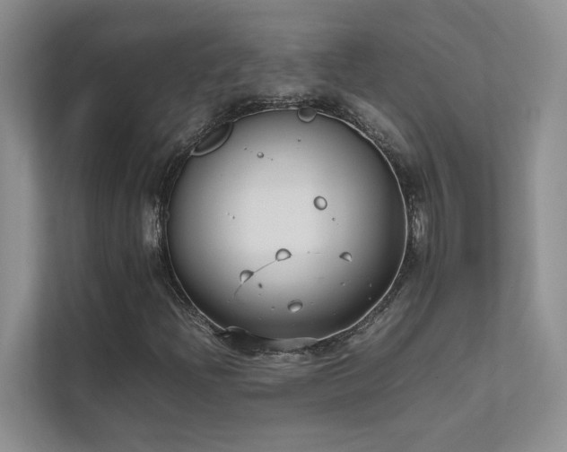 X0000111631204200907171520