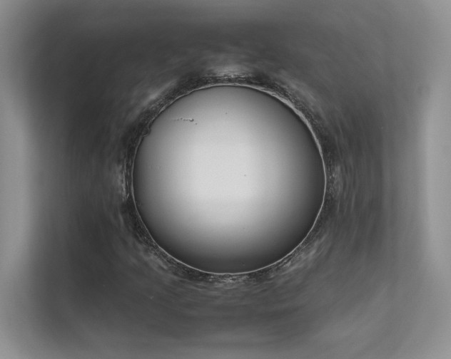X0000111631205200907171520