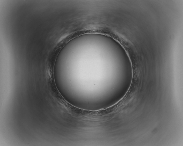 X0000111631206200907171520