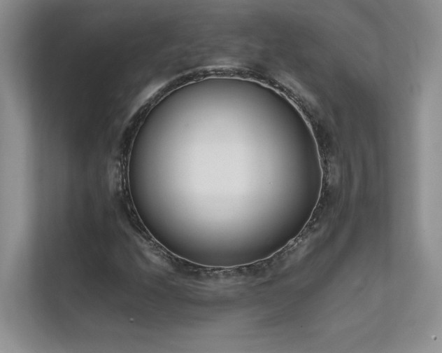 X0000111631208200907171520