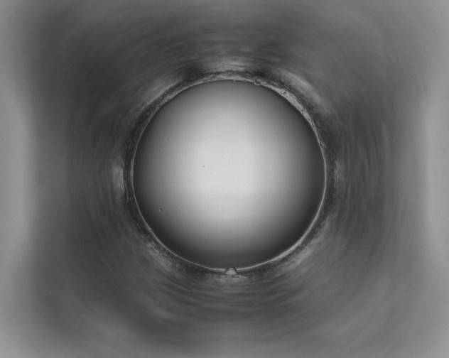 X0000111631209200907171520