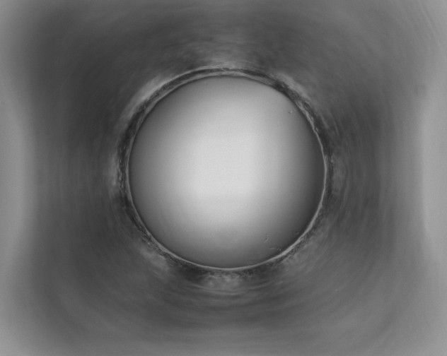 X0000111631215200907171520
