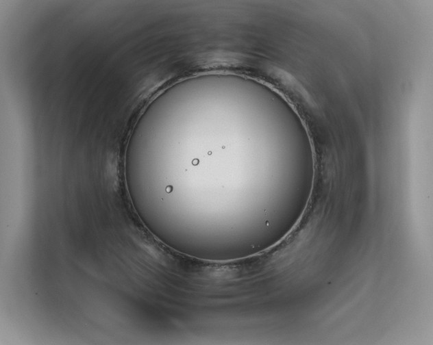 X0000111631217200907171520