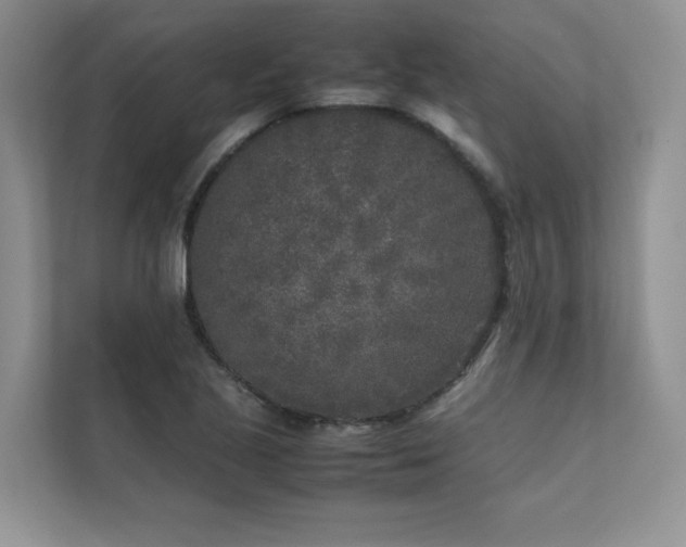 X0000111631221200907171520