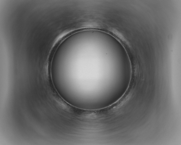 X0000111631222200907171520