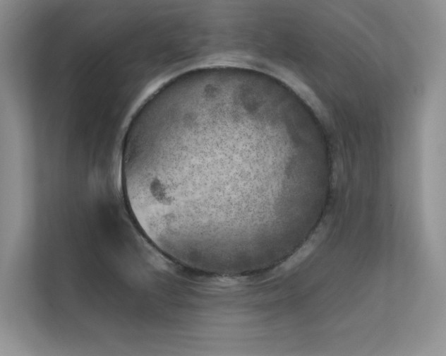 X0000111631224200907171520