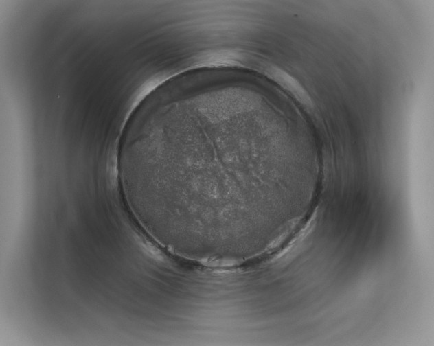 X0000111631226200907171520