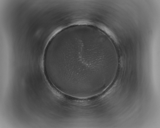 X0000111631229200907171520