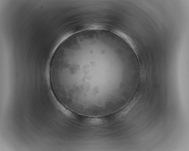 X0000111631235200907171520