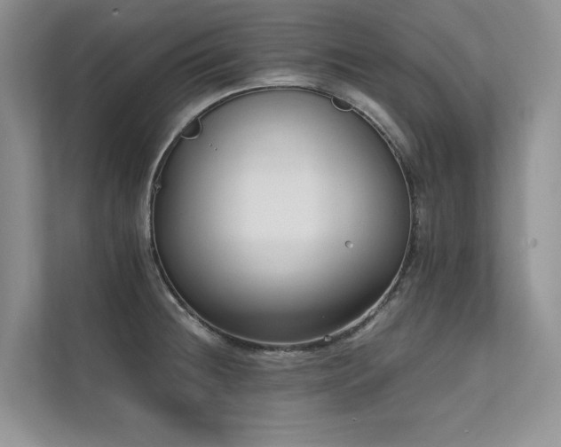 X0000111631236200907171520