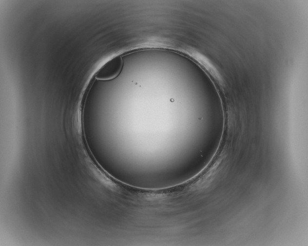 X0000111631238200907171520