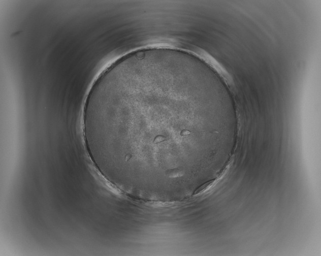 X0000111631240200907171520