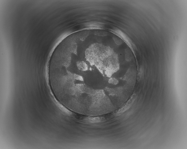 X0000111631243200907171520