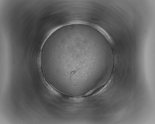 X0000111631244200907171520