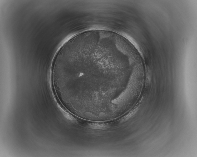 X0000111631245200907171520