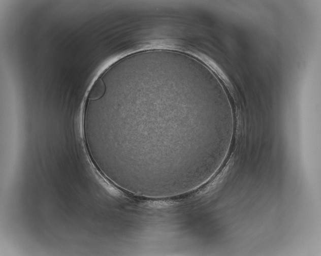 X0000111631246200907171520