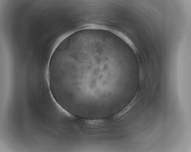 X0000111631247200907171520