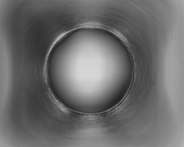 X0000111631248200907171520