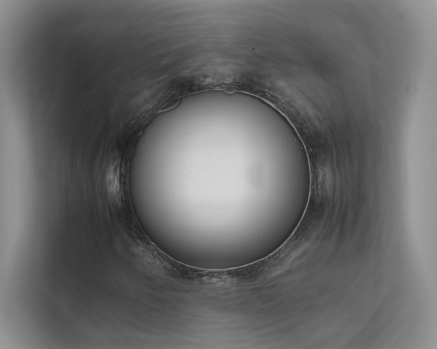 X0000111631250200907171520