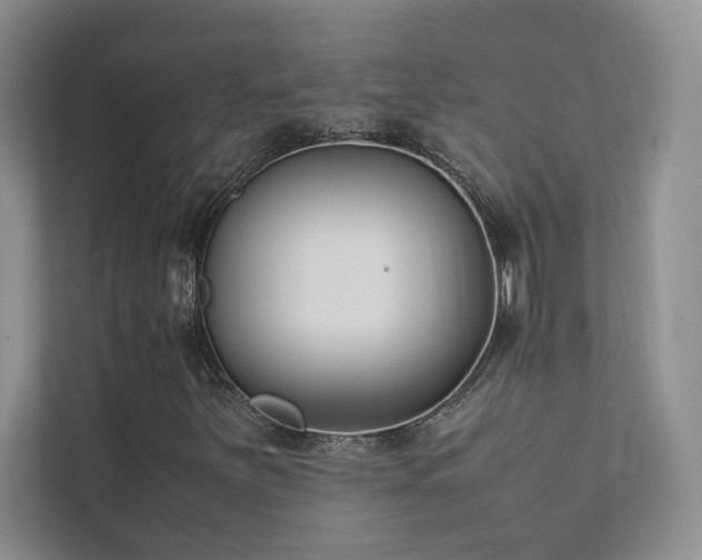 X0000111631251200907171520