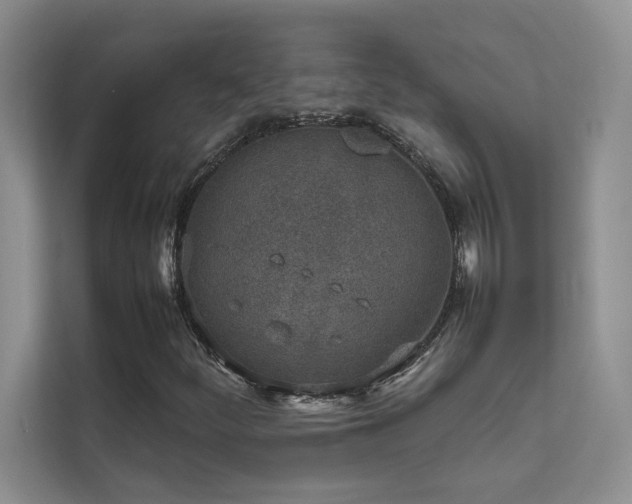X0000111631252200907171520