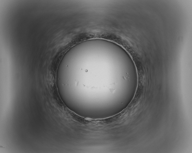 X0000111631253200907171520