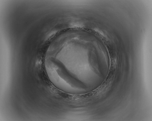 X0000111631254200907171520