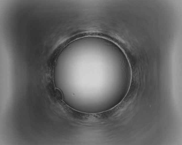 X0000111631255200907171520