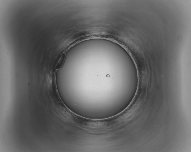 X0000111631257200907171520