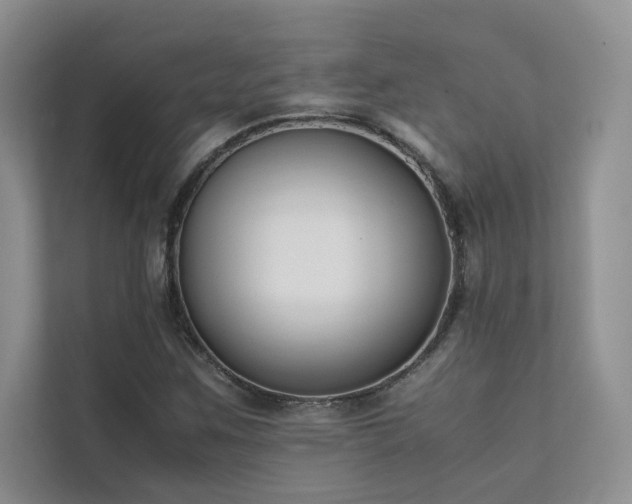 X0000111631259200907171519