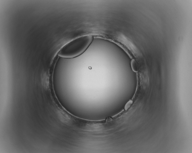 X0000111631260200907171519