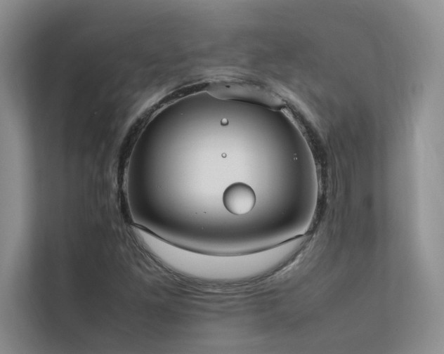 X0000111631261200907171519