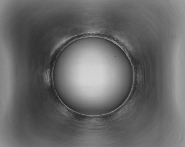 X0000111631262200907171519