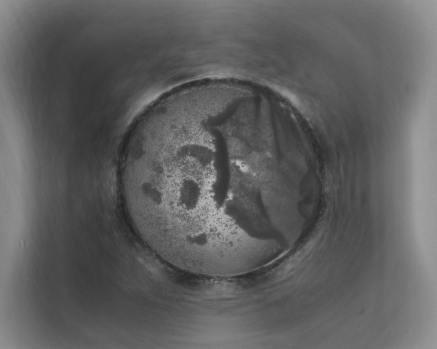 X0000111631263200907171519