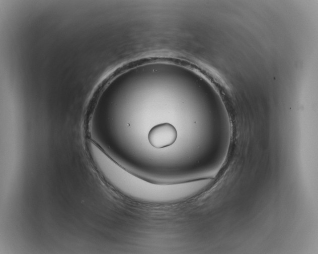 X0000111631264200907171519