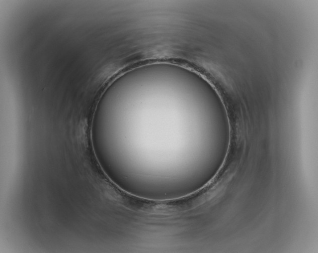 X0000111631265200907171519